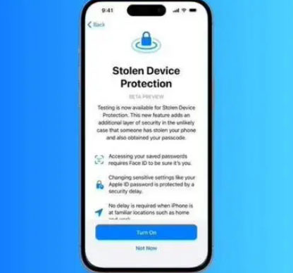恩施苹果授权维修店分享被盗设备保护功能开启方法 