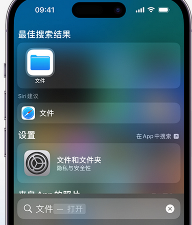 恩施apple维修中心分享iPhone文件应用中存储和找到下载文件 