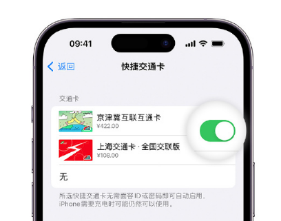 恩施apple维修点分享iPhone上更换Apple Pay快捷交通卡手绘卡面 