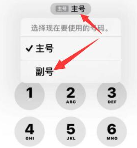 恩施苹果14维修店分享iPhone 14 Pro Max使用副卡打电话的方法 