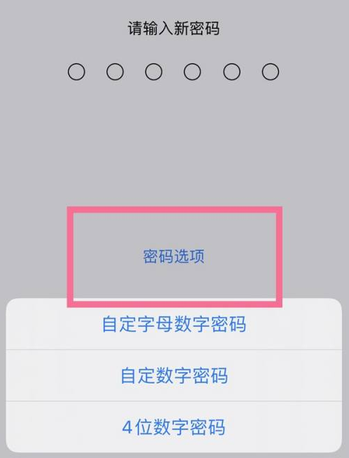 恩施苹果14维修分享iPhone 14plus设置密码的方法 