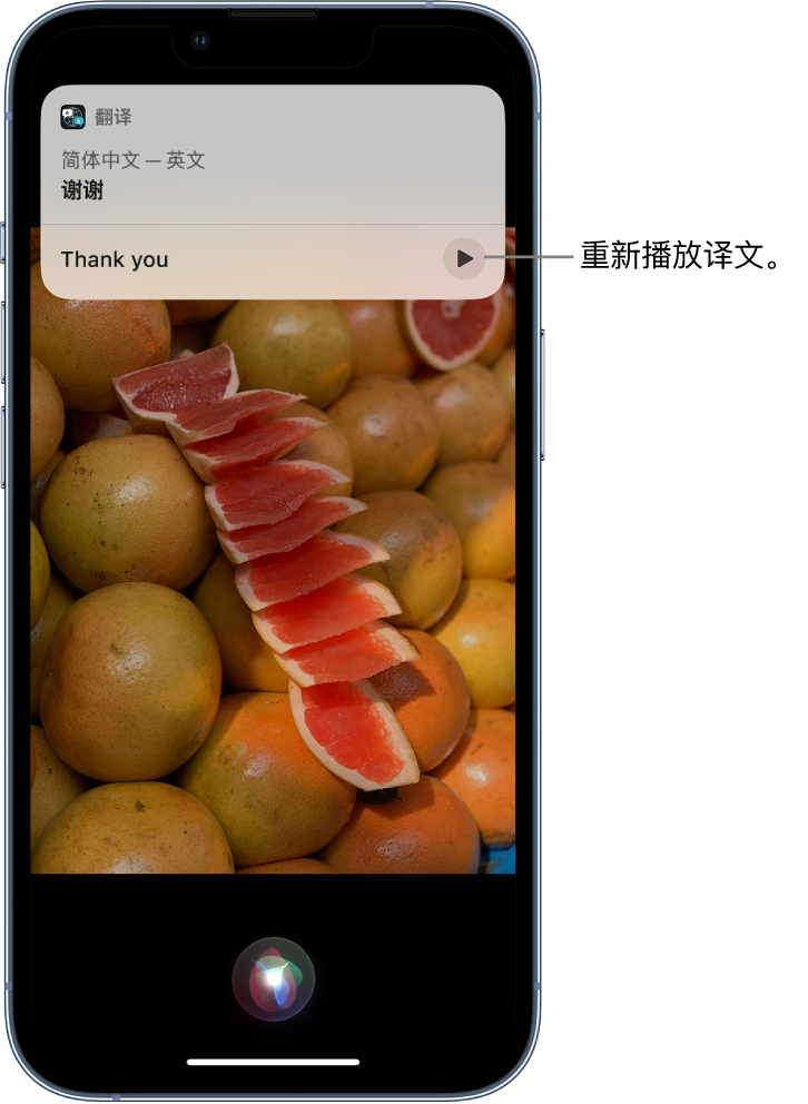 恩施苹果14维修分享 iPhone 14 机型中使用 Siri：了解 Siri 能帮你做什么 