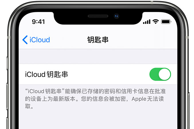 恩施苹果手机维修分享在 iPhone 上开启 iCloud 钥匙串之后会储存哪些信息 