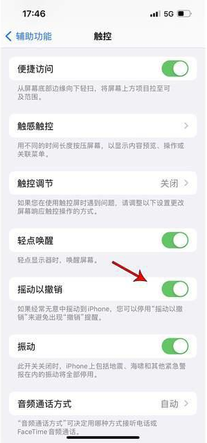 恩施苹果手机维修分享iPhone手机如何设置摇一摇删除文字 