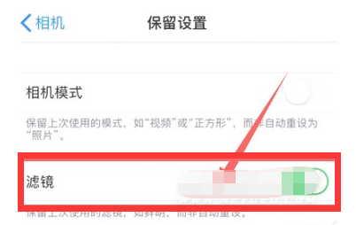 恩施苹果13维修分享iPhone13拍照有绿点是怎么回事 