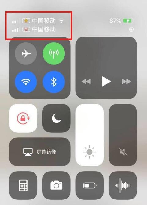 恩施苹果手机维修分享为 iPhone 12 双卡设置标签 